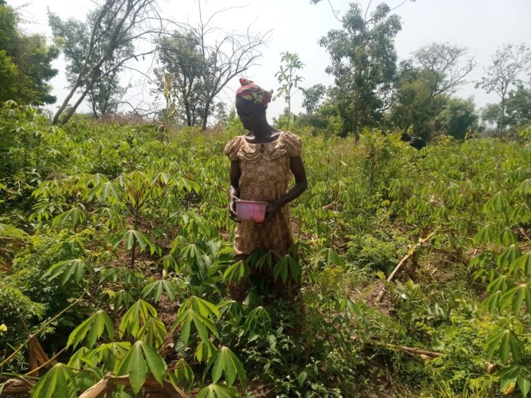 Rasheedatul Anafi in her farm