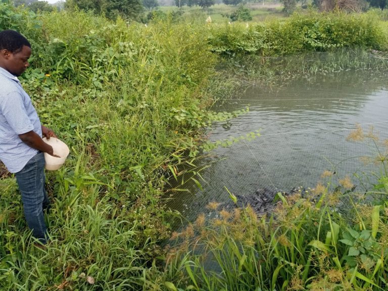 Mustapha in his fishing farm